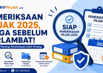 pemeriksaan pajak 2025